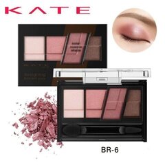 Lauvärvid Kanebo Kate Designer Brown Eyes, BR-6 hind ja info | Kanebo Dekoratiivkosmeetika | kaup24.ee