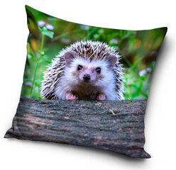 Padjakate Hedgehog, 40x40 cm hind ja info | Originaalsed padjad, padjakatted | kaup24.ee