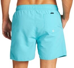 Плавки-шорты для мужчин Arena, синие цена и информация | Плавки, плавательные шорты | kaup24.ee