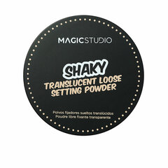 Kompaktpuuder Magic Studio Translucent Setting Powder Shaky, 11 g hind ja info | Jumestuskreemid, puudrid | kaup24.ee