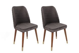 Набор из 2 стульев Asir, серый/коричневый/золотой цена и информация | Стулья для кухни и столовой | kaup24.ee