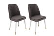 2-osaline toolide komplekt Asir, hall hind ja info | Söögitoolid, baaritoolid | kaup24.ee