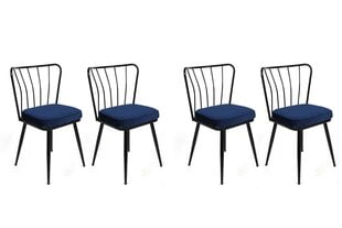 Набор из 4 стульев Asir, темно-синий/черный цена и информация | Стулья для кухни и столовой | kaup24.ee