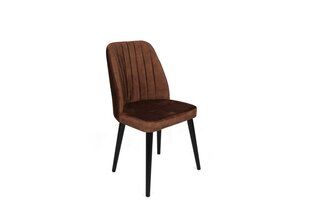4-osaline toolide komplekt Asir, pruun hind ja info | Söögilaua toolid, köögitoolid | kaup24.ee