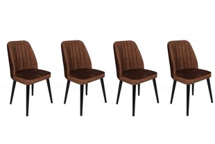 Комплект из 4 стульев Asir, коричневый/черный цена и информация | Стулья для кухни и столовой | kaup24.ee