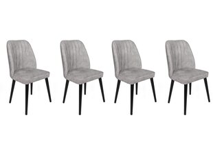 Комплект из 4 стульев Asir, 50x90x49 см, серый/белый цена и информация | Стулья для кухни и столовой | kaup24.ee
