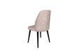 4-osaline toolide komplekt Asir, roosa hind ja info | Söögitoolid, baaritoolid | kaup24.ee