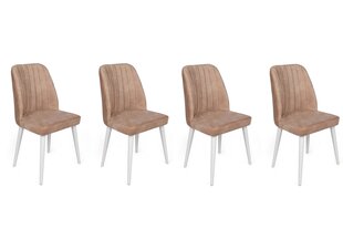 4-osaline toolide komplekt, Asir, helepruun/valge hind ja info | Söögitoolid, baaritoolid | kaup24.ee