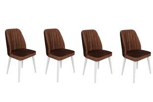 Комплект из 4 стульев Asir, 50х90х49 см, коричневый/белый цена и информация | Стулья для кухни и столовой | kaup24.ee