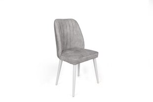 4-osaline toolide komplekt Asir, helehall hind ja info | Söögilaua toolid, köögitoolid | kaup24.ee