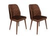 4-osaline toolide komplekt Asir, pruun hind ja info | Söögitoolid, baaritoolid | kaup24.ee