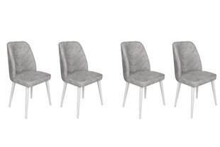 Комплект из 4 стульев Asir, 50x90x49 см, серый/белый цена и информация | Стулья для кухни и столовой | kaup24.ee