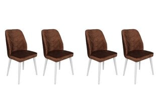 4-osaline toolide komplekt Asir, pruun hind ja info | Söögilaua toolid, köögitoolid | kaup24.ee
