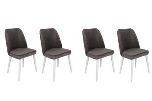 Комплект стульев из 4 предметов, Asir, 50x90x49 см, темно-серый/белый цена и информация | Стулья для кухни и столовой | kaup24.ee