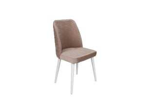 Комплект из 4 стульев Asir, 50х90х49 см, бежевый/белый цена и информация | Стулья для кухни и столовой | kaup24.ee