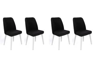 Комплект из 4 стульев Asir, 50х90х49 см, черный/белый цена и информация | Стулья для кухни и столовой | kaup24.ee