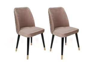 4-osaline toolide komplekt Asir, beež hind ja info | Söögilaua toolid, köögitoolid | kaup24.ee