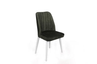 Набор из 2 стульев Asir, зеленый/белый цена и информация | Стулья для кухни и столовой | kaup24.ee