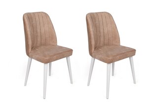 2-osaline toolide komplekt Asir, helepruun hind ja info | Söögitoolid, baaritoolid | kaup24.ee