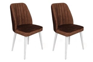 2-osaline toolide komplekt Asir, pruun hind ja info | Söögitoolid, baaritoolid | kaup24.ee