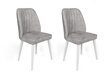 2-osaline toolide komplekt Asir, helehall hind ja info | Söögitoolid, baaritoolid | kaup24.ee