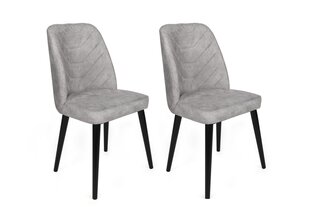 2-osaline toolide komplekt Asir, hall hind ja info | Söögilaua toolid, köögitoolid | kaup24.ee