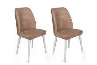 2-osaline toolide komplekt Asir, helepruun hind ja info | Söögilaua toolid, köögitoolid | kaup24.ee