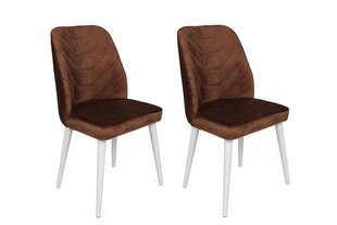 2-osaline toolide komplekt Asir, pruun hind ja info | Söögitoolid, baaritoolid | kaup24.ee