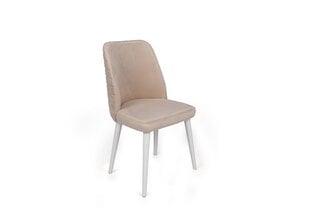 2-osaline toolide komplekt Asir, roosa hind ja info | Söögitoolid, baaritoolid | kaup24.ee