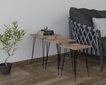 3-osaline laua komplekt Asir, must/pruun hind ja info | Diivanilauad | kaup24.ee