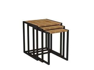 3-osaline laua komplekt Asir, 40x55x40 cm, must/pruun hind ja info | Diivanilauad | kaup24.ee