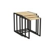3-osaline laua komplekt Asir, 40x55x40 cm, must/beež hind ja info | Diivanilauad | kaup24.ee