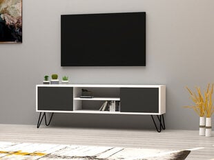 TV alus Asir, 140x50x30 cm, hall/valge hind ja info | TV alused | kaup24.ee