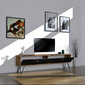 TV alus Asir, 160x45x29,6 cm, pruun/must hind ja info | TV alused | kaup24.ee
