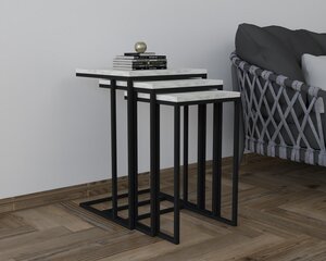 3-osaline laua komplekt Asir, 40x61,8x40 cm, valge/must hind ja info | Diivanilauad | kaup24.ee