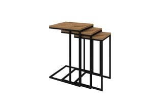 3-osaline laua komplekt Asir, 40x61,8x40 cm, pruun/must hind ja info | Diivanilauad | kaup24.ee