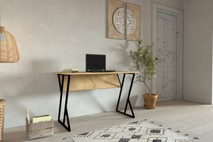 Laud Asir, 160x50,4x24,5 cm, hall/pruun цена и информация | Компьютерные, письменные столы | kaup24.ee