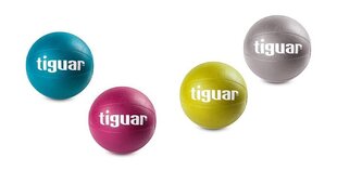 Võimlemispall Tiguar, 3 kg, roheline цена и информация | Гимнастические мячи | kaup24.ee