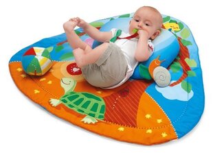 Padjaga tegelustekk beebidele Chicco hind ja info | Imikute mänguasjad | kaup24.ee