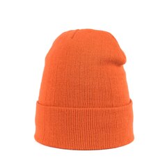 Müts Art of Polo cz20305-31 цена и информация | Мужские шарфы, шапки, перчатки | kaup24.ee