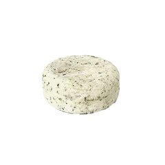 Tahke šampoon The Organic Republic Rasustele juustele, 70 g hind ja info | Šampoonid | kaup24.ee