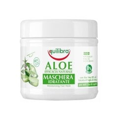 Aloe Moisturizing Hair Mask Niisutav aaloe juuksemask, 250 ml hind ja info | Maskid, õlid, seerumid | kaup24.ee