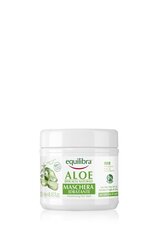 Aloe Moisturizing Hair Mask Niisutav aaloe juuksemask, 250 ml hind ja info | Maskid, õlid, seerumid | kaup24.ee