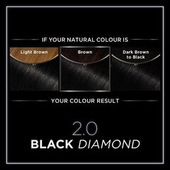Püsivärv Olia 2.0 Black Diamond Garnier Ammooniaagivaba hind ja info | Juuksevärvid | kaup24.ee