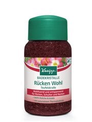 Kneipp Mineral Bath Salt Pure Relaxation соль для ванны 500 г цена и информация | Масла, гели для душа | kaup24.ee