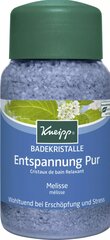 Kneipp Mineral Bath Salt Pure Relaxation соль для ванны 500 г цена и информация | Масла, гели для душа | kaup24.ee