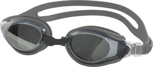 Очки для плавания Aqua-Speed Champion, серого цвета цена и информация | Очки для плавания StoreXO, черные | kaup24.ee