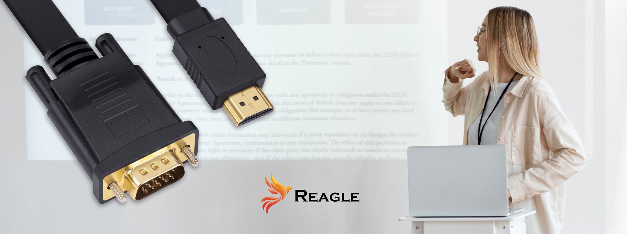 REAGLE VGA kuni HDMI 2M FULL HD D-SUB lamedate kaablite adapter 1080p цена и информация | Lisatarvikud korpustele | kaup24.ee