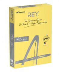 Värviline paber Rey Adagio A4 80g, 500 lehte hind ja info | Vihikud, märkmikud ja paberikaubad | kaup24.ee