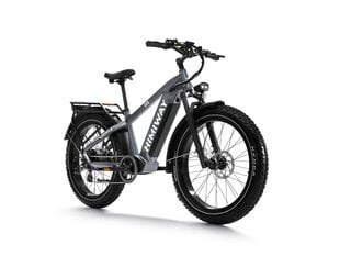 Электровелосипед Himiway Zebra, 26", серый, 250Вт, 20Ач LG цена и информация | Электровелосипеды | kaup24.ee